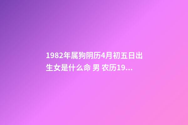 1982年属狗阴历4月初五日出生女是什么命 男 农历1982年4月初5早晨6点左右出生 算命-第1张-观点-玄机派